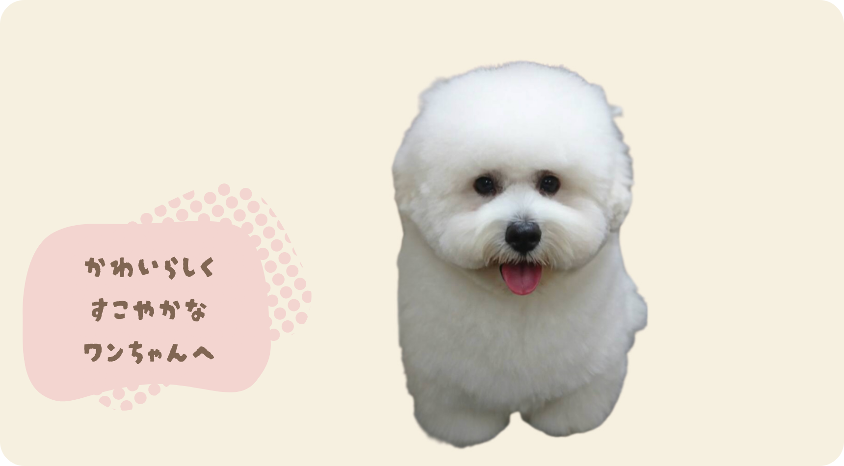 かわいらしく すこやかな ワンちゃんへ